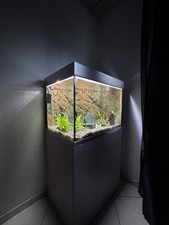 Aquarium Eheim Proxima 175 L  mit Rückwand und Oasefilter BioMaster Thermo 250