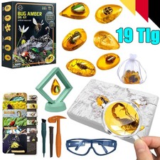 Bernstein Ausgrabungs Set, 19