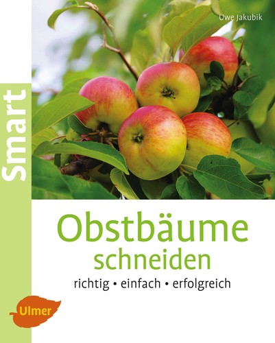 Obstbäume schneiden richtig - schneiden,