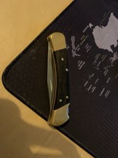 Buck 110 Folding Hunter