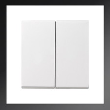 Gira 2-fach Wippe Serienwippe System 55, Reinweiß Glänzend, 029503 2F