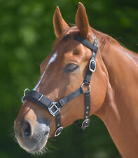 Waldhausen Kappzaum Economic