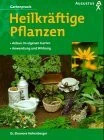 Heilkräftige pflanzen buch - heilkräftige,