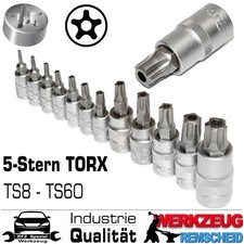 12-tlg Fünfstern TORX IPR 5
