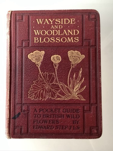 Wayside and woodland - wayside,