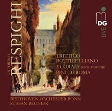 Pini roma trittico - pini, di