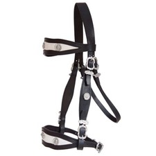 BAROCKZAUM "Classico" + ZÜGEL