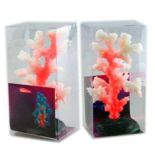 Aquarium dekoration - aquarium,