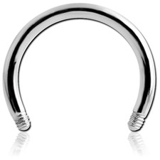 Circular Barbell Hufeisen