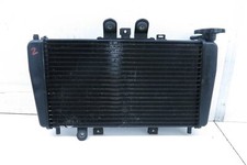 TRIUMPH SPEED TRIPLE 955 595N 02-04  Kühler Wasserkühler 2