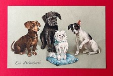 Künstler AK um 1910 DACKEL Ein Aristokrat Hunde    ( 141652