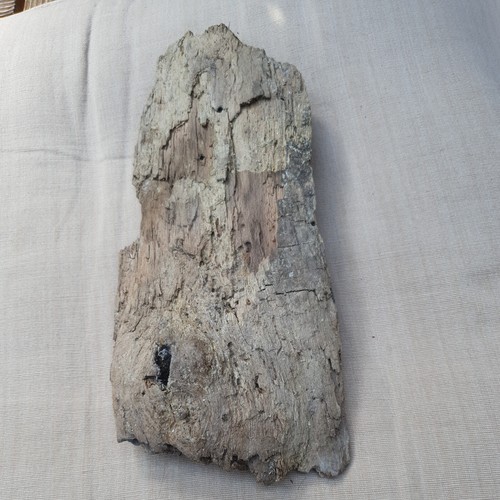Schwemmholz treibholz brett - treibholz,