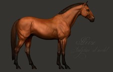 Stehende Warmblut Stute von