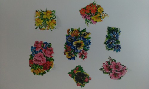 Stammbuchblümchen glanzbilder - stammbuchblümchen,