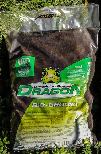 Dragon ungedüngte