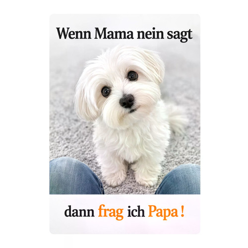 Malteser hund und mama - hund,