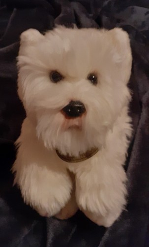 West highland terrier - west,