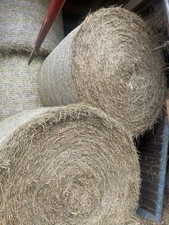 1. Schnitt Heu Ballen Rundballen 2024 1,50m nicht verregnet