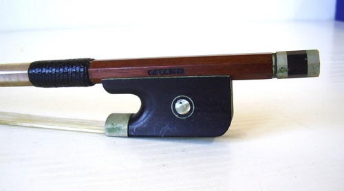 Seltener cellobogen bertoni - seltener,