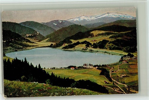12079780 7820 titisee blick - 12079780,