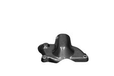 Carbon Wasserpumpen