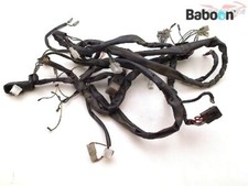 Kabelbaum (Haupt) Derbi