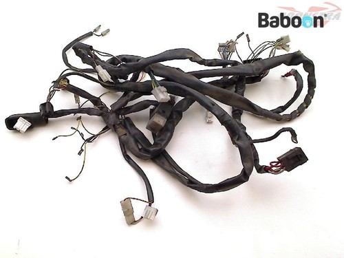 Kabelbaum derbi - kabelbaum, (haupt)