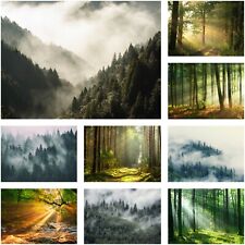 Vlies Fototapete WALD Bäume