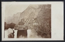 Foto-AK Österreichische Brieftaubenstation, Postbote lässt Brieftauben fliegen 