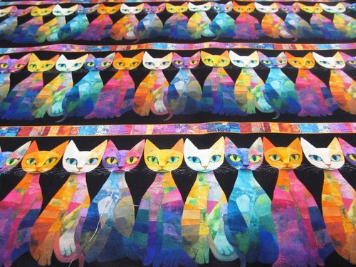 Katzen cats shopisticat - katzen,
