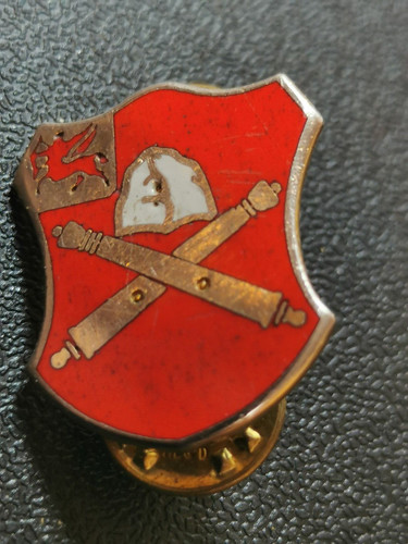 Alter army pin crest - us,