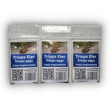 Triops longicaudatus - , –