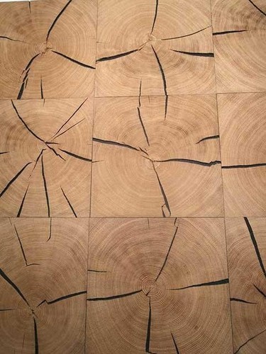 Eichen hirnholz baumscheibe - hirnholz,