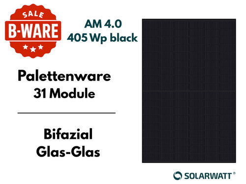 Solarwatt panel vision - solarwatt, 4.0