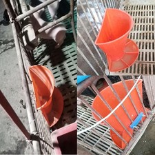 Schweinefütterer Orange für