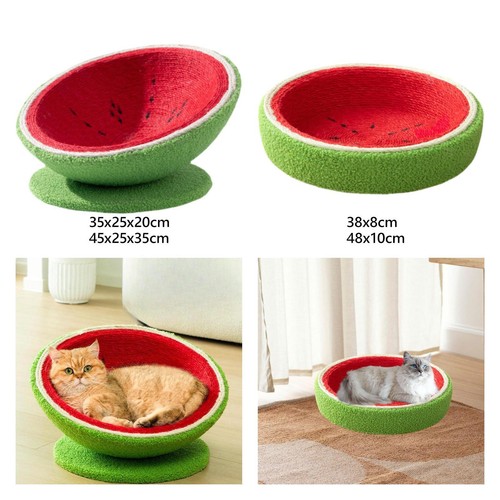 Wassermelone katze nest - katze,