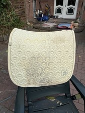 Eskadron Schabracke Dressur