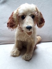 alter Hund JOPI Cocker Spaniel