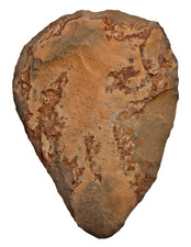 Paläolithikum  Herrlicher