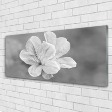 Tulup Wandbilder Glasbilder