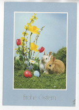 AK  Frohe Ostern!  Hasen-bunte Eier-Korb-Frühlingsblumen gel.