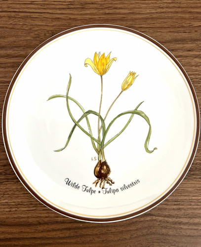 Rosenthal classic sammelteller - rosenthal,