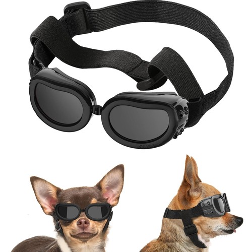 Hundesonnenbrille