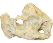 Aquariumdekoration Stein 