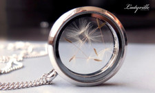 Halskette Medaillon Pusteblume