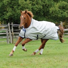 Bucas Power Turnout Light High