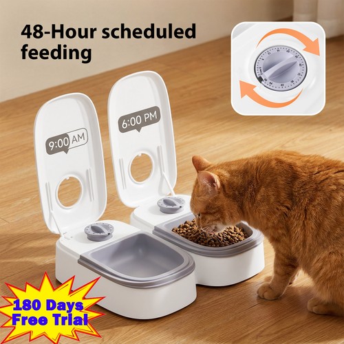 Katzen futterspender - katzen,