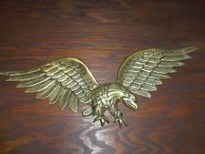 Großer Wandadler, Adler aus