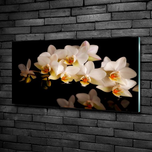 Wandbild glas bild druck auf - wandbild,