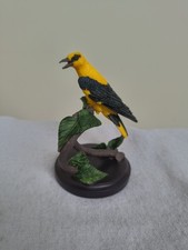 Eaglemoss Vogelwelt Pirol